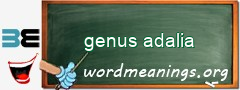 WordMeaning blackboard for genus adalia